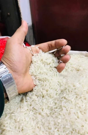 Recycling Plastic Polypropylene pp White Plastic